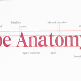 Original Print: Type Anatomy Poster