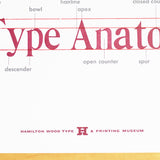 Original Print: Type Anatomy Poster