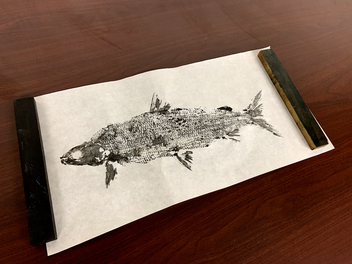 Adventures in Printing With Fish – Hamilton Wood Type Museum