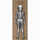 Letterpress Articulated Skeleton