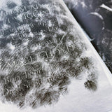 Last Words: Gravestones of Type Designers Zine