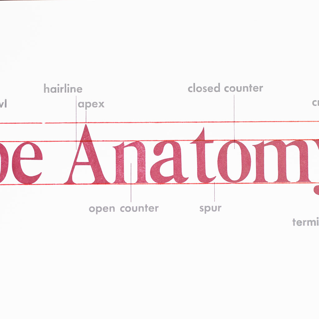 Type Anatomy - The Parts Of Letters (+FREE Poster)