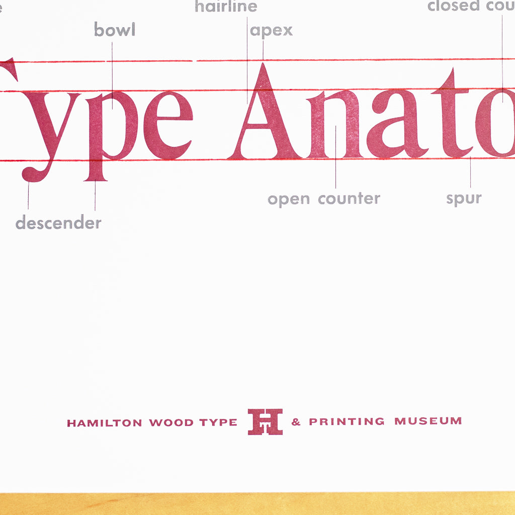 Original Print Type Anatomy Poster Hamilton Wood Type Museum
